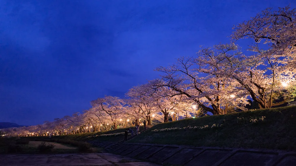 Senshu Park, Akita 2