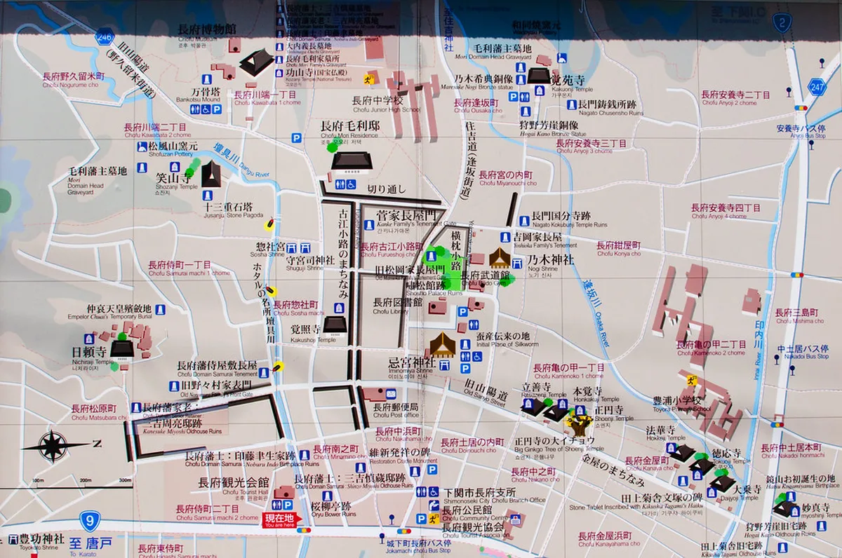 Sea Urchin (Uni): Where to Find It in Shimonoseki