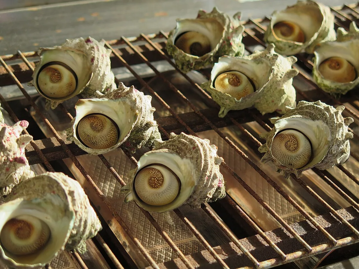 Sazae on Grill — 2