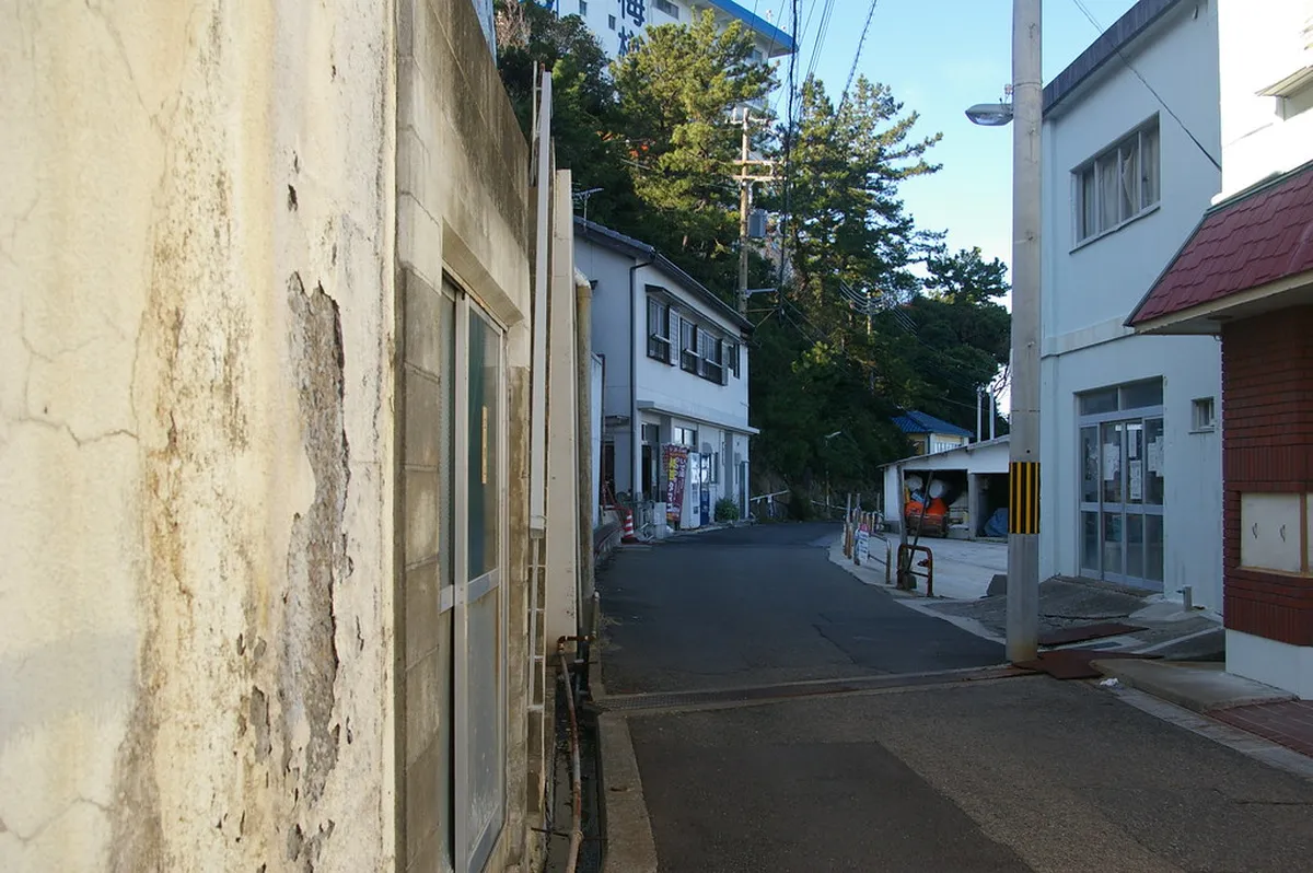Planning Your Visit: Costs, Timing, and What to Wear in Shirahama