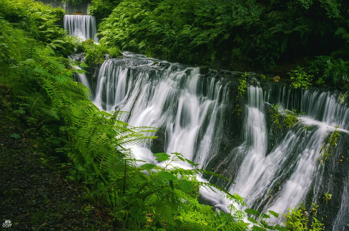 Opening Hours and Entrance Fees — Karuizawa
