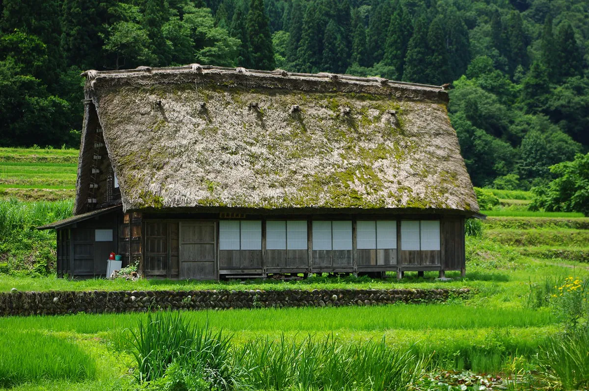 Shirakawa-go Ogimachi village with traditional gassho-zukuri farmhouses nestled in the Gifu mountains