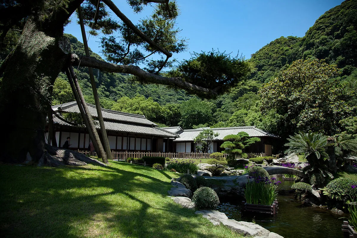 Lush forested walking trail through Shiroyama Park in Kagoshima with subtropical camphor trees and dappled sunlight