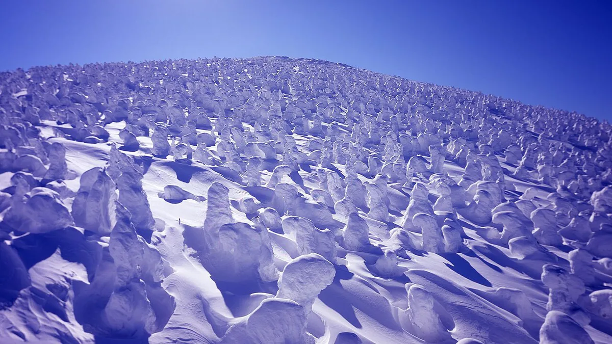 Snow Monsters  Zao Onsen Ski Resort — 1