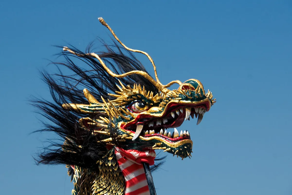 Nagasaki Kunchi festival dragon dance performers filling the streets near Suwa Shrine in Nagasaki, Japan
