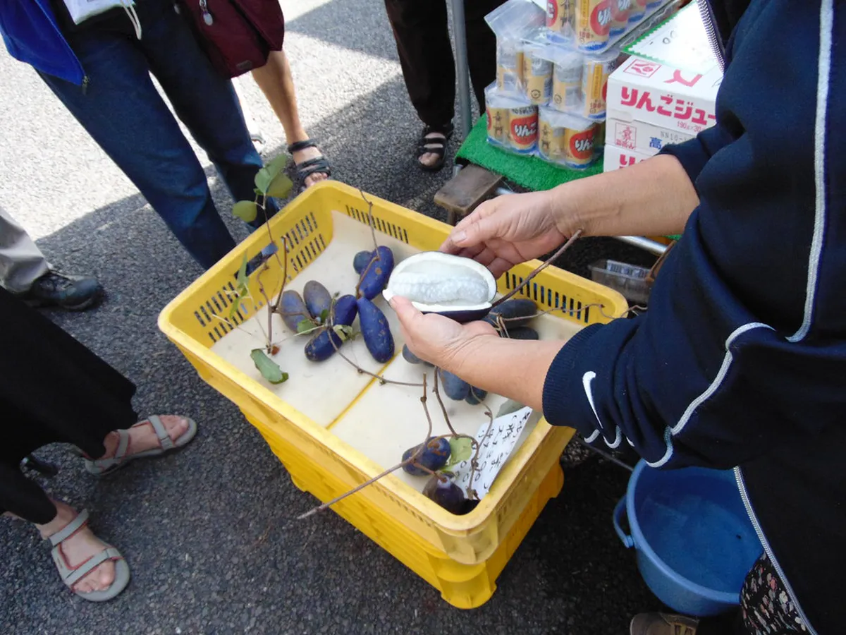 Morning market vendors and stalls set up in front of the Takayama Jinya government building in Japan