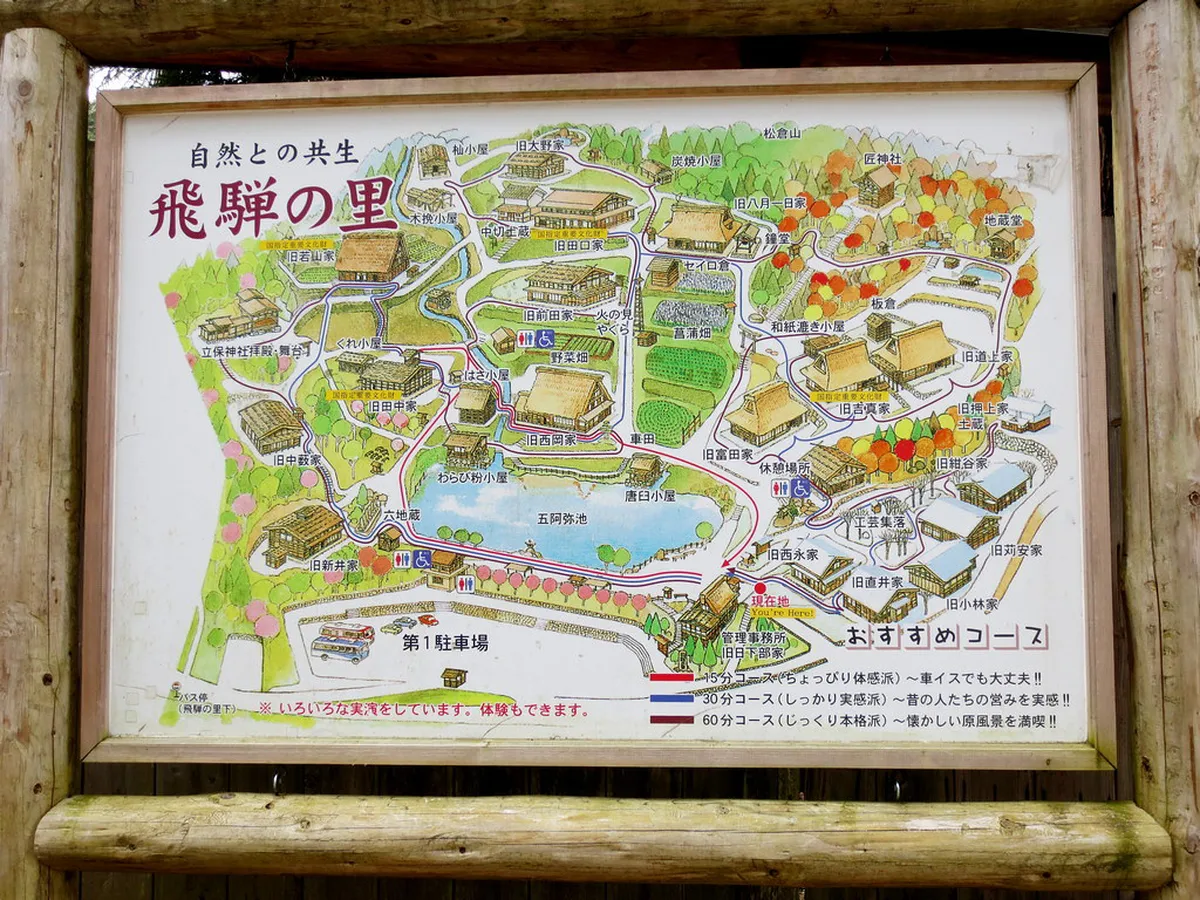 Navigation and Map-First Planning in Takayama