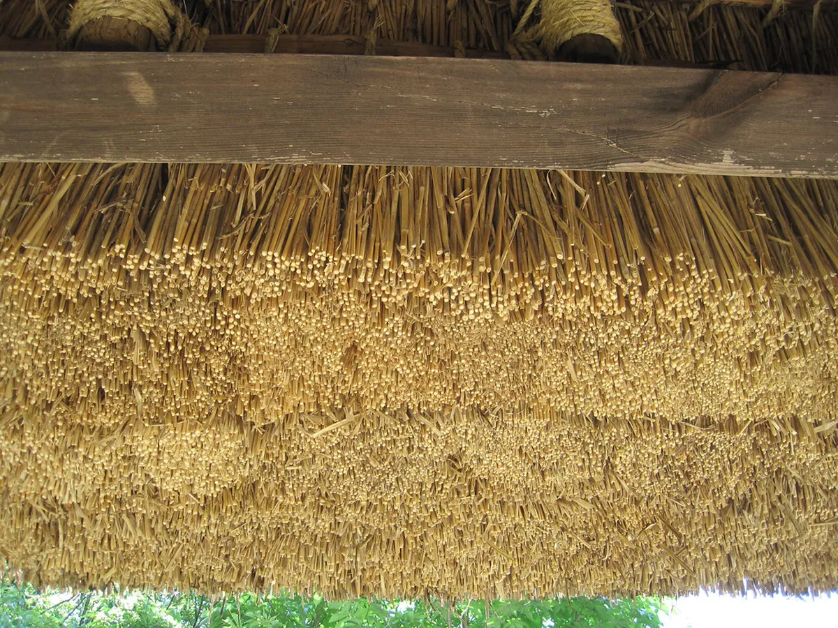 Snow-covered thatched-roof farmhouses at Hida Folk Village open-air museum in Takayama, Japan during winter