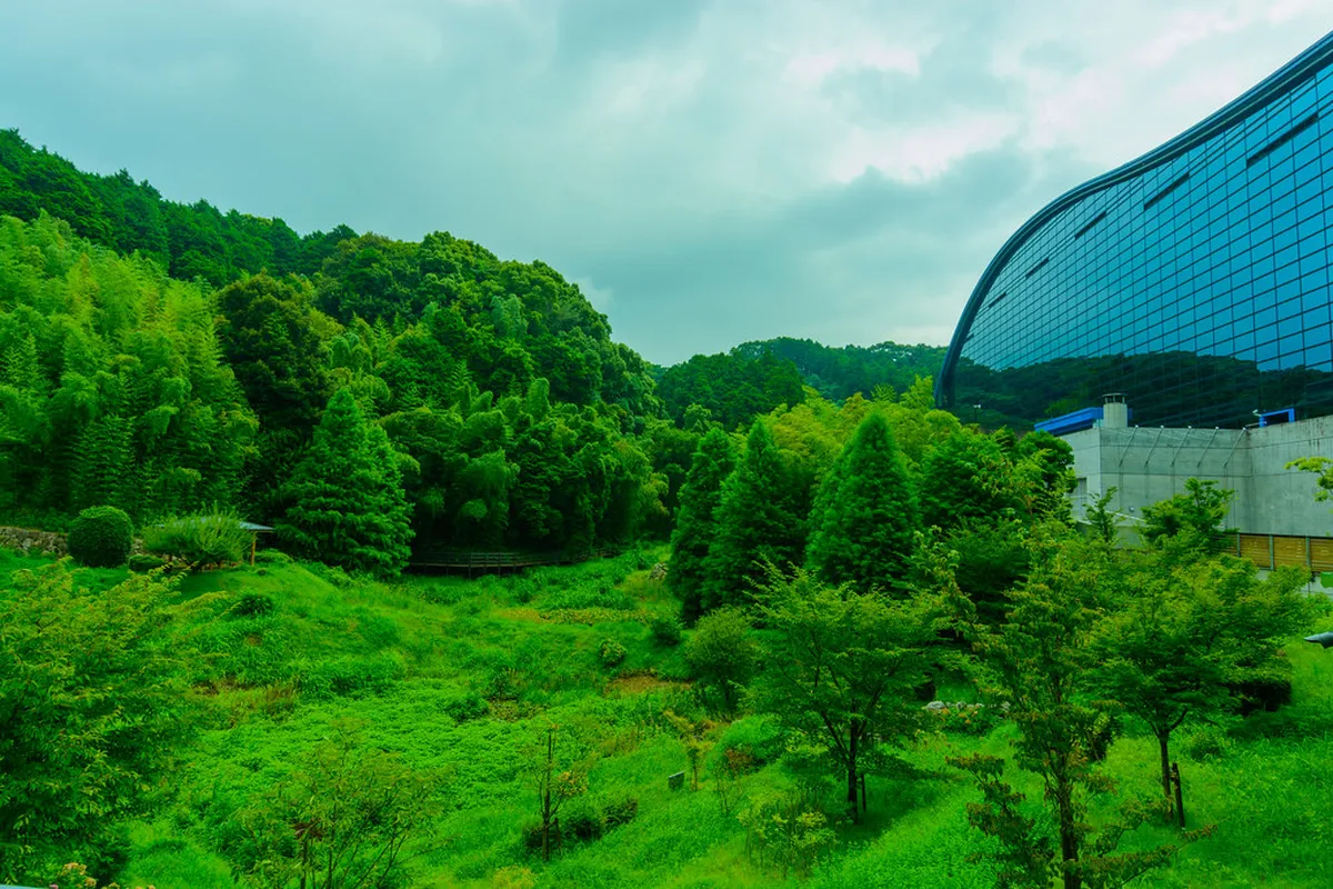 Kyushu National Museum's dramatic blue-glass facade reflecting the surrounding forest in Dazaifu, Japan
