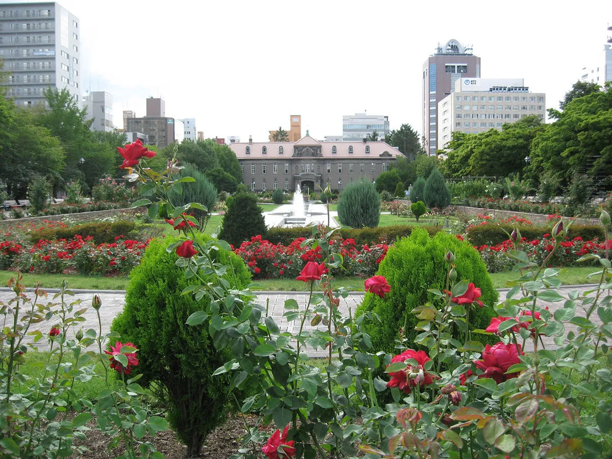 Colourful flower beds and tree-lined walkways stretching through Odori Park in central Sapporo, Japan