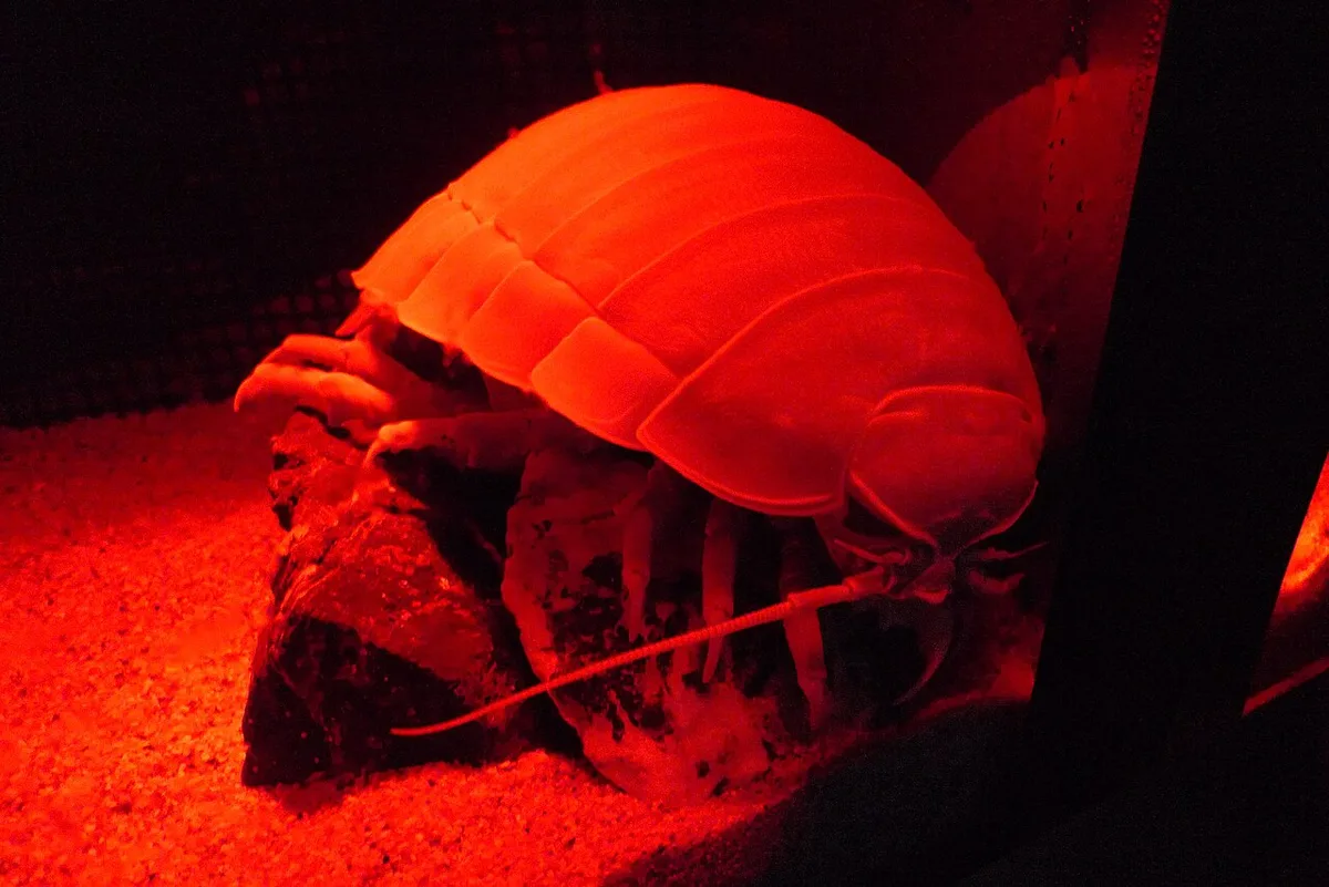 Toba Aquarium — 3