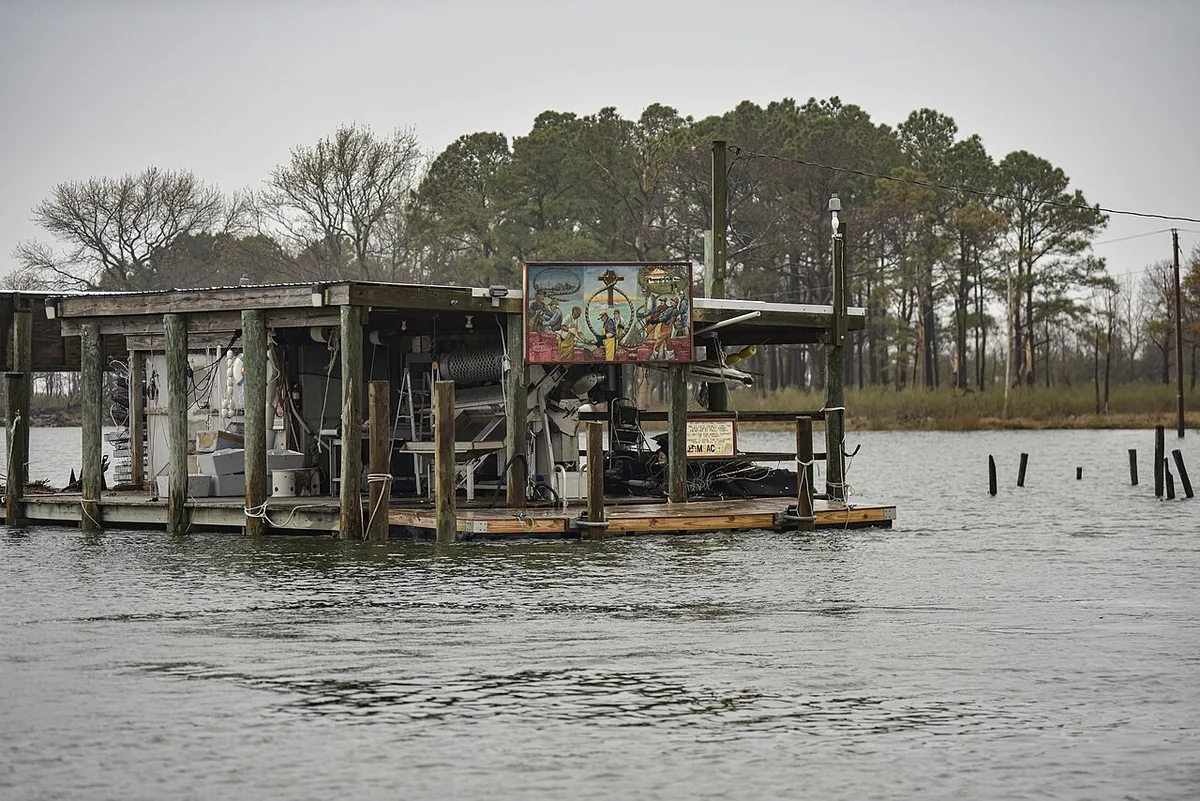 Investing in Wastewater Infrastructure is Key to Preserving Smith Island  Maryland on 3 April 2024 - 53 — 2
