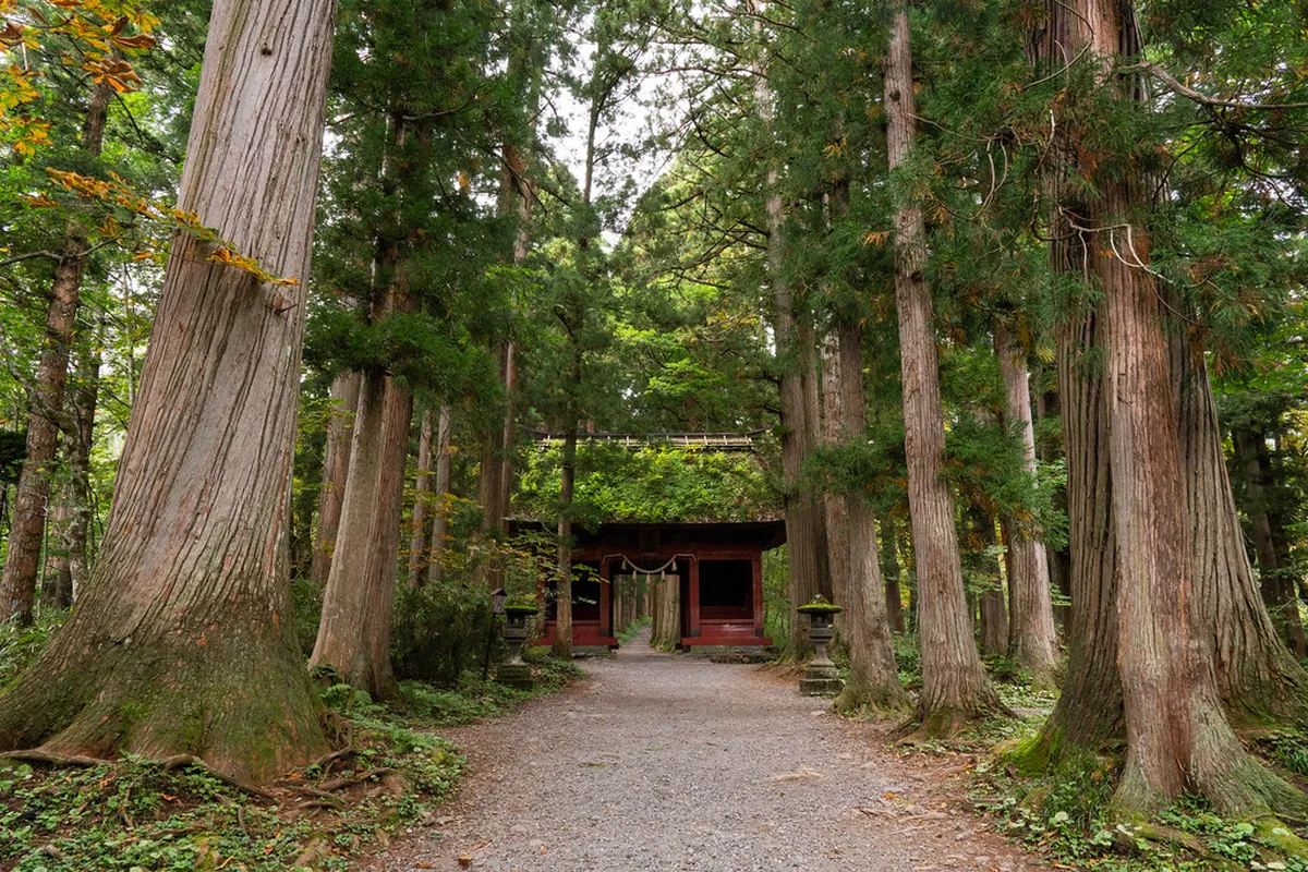 Planning Your Togakushi Hike: Routes, Durations, and Difficulty — Nagano