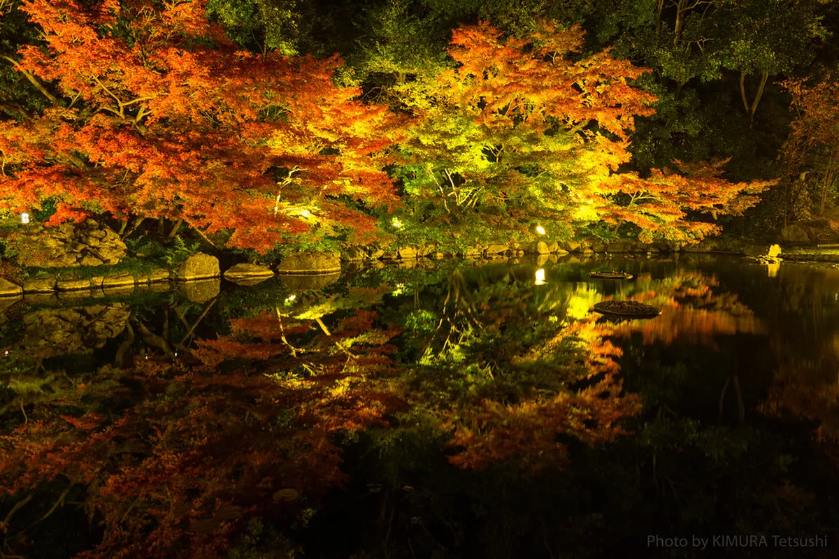 Tokugawa-en strolling garden with the central pond and traditional stone bridges in Nagoya, Japan