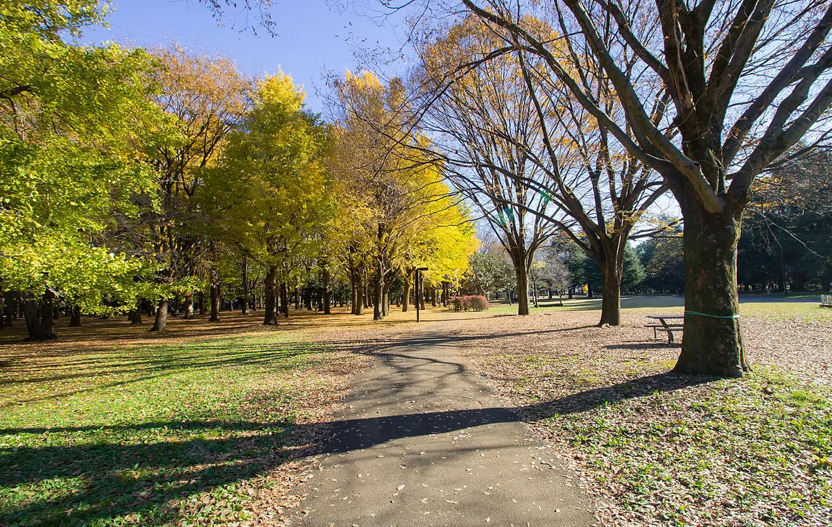 Yoyogipark in Autumn 1 — 2