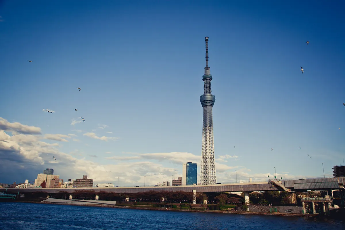 Sumida Park: Best for Tokyo Skytree Views in Tokyo