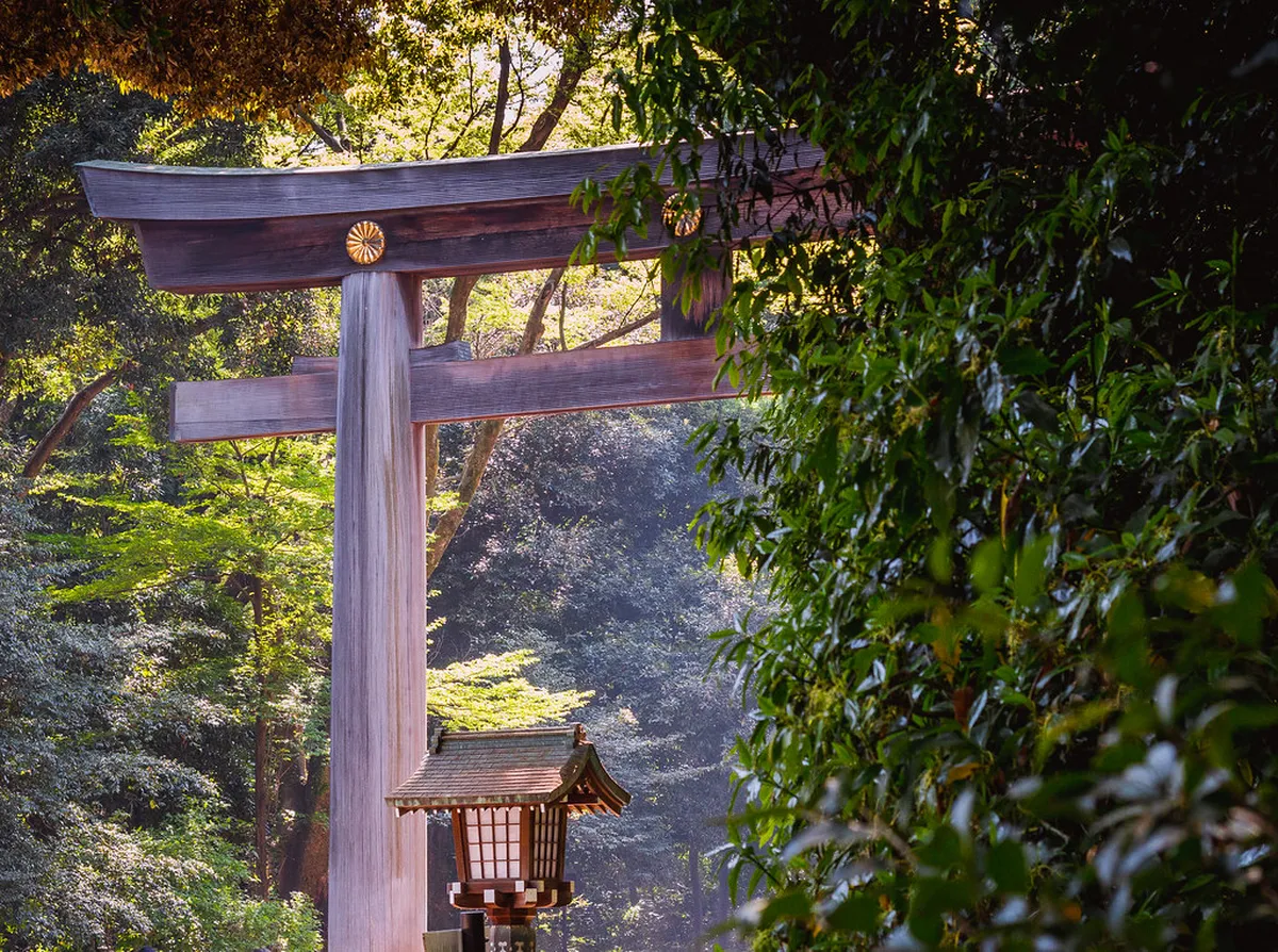 Visitors walking along a towering forested path toward the Meiji Jingu Shrine torii gate in Tokyo, Japan