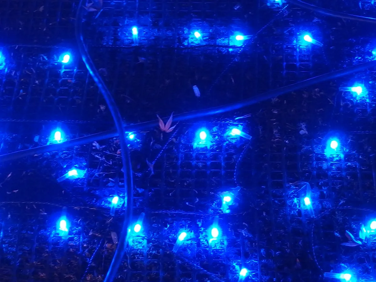 December Illuminations by Neighborhood in Tokyo