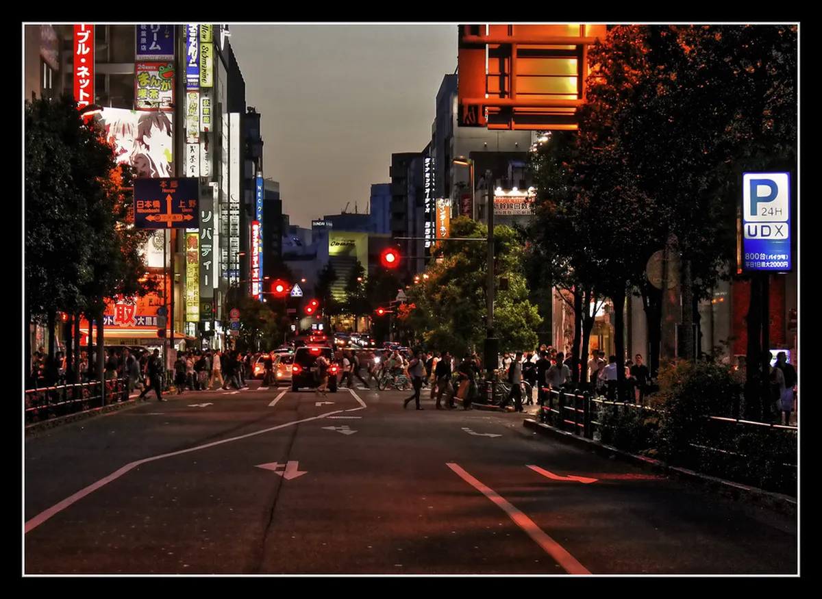 Best Markets and Districts for Street Food in Tokyo