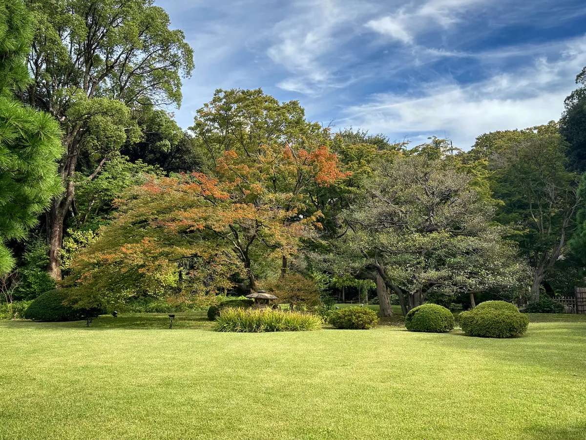 What to Pack for Tokyo: A Seasonal Guide in Tokyo