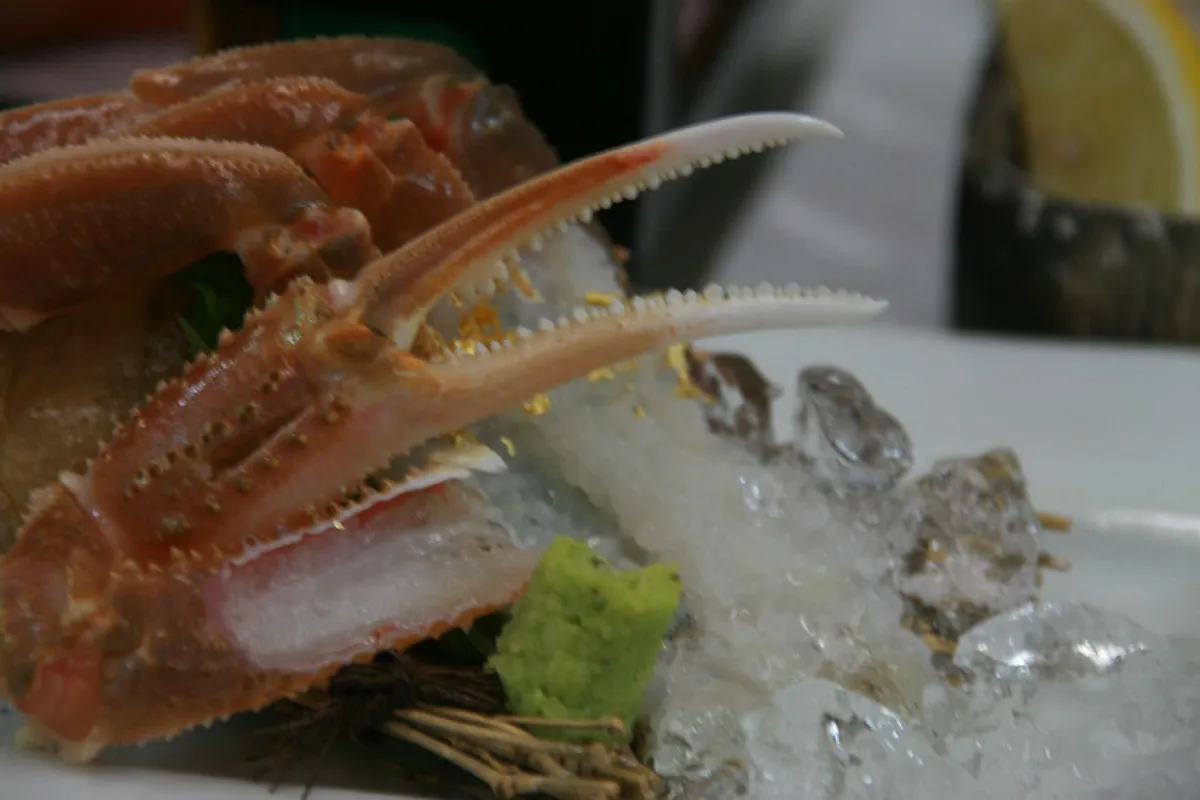 When Is Matsuba Crab Available in Tottori?