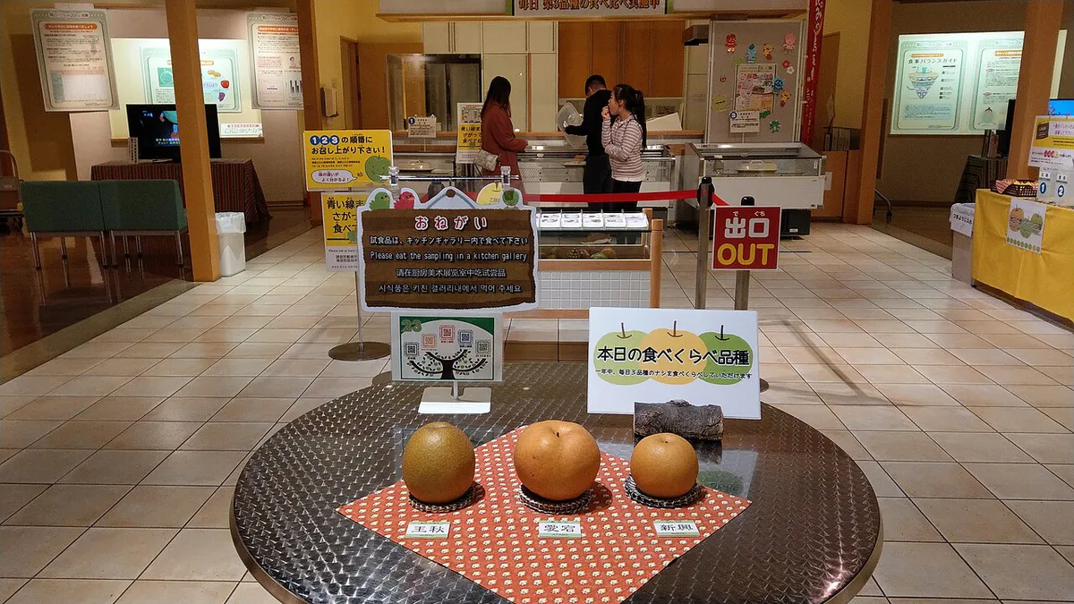 Fresh Tottori pears and pear dessert — 1