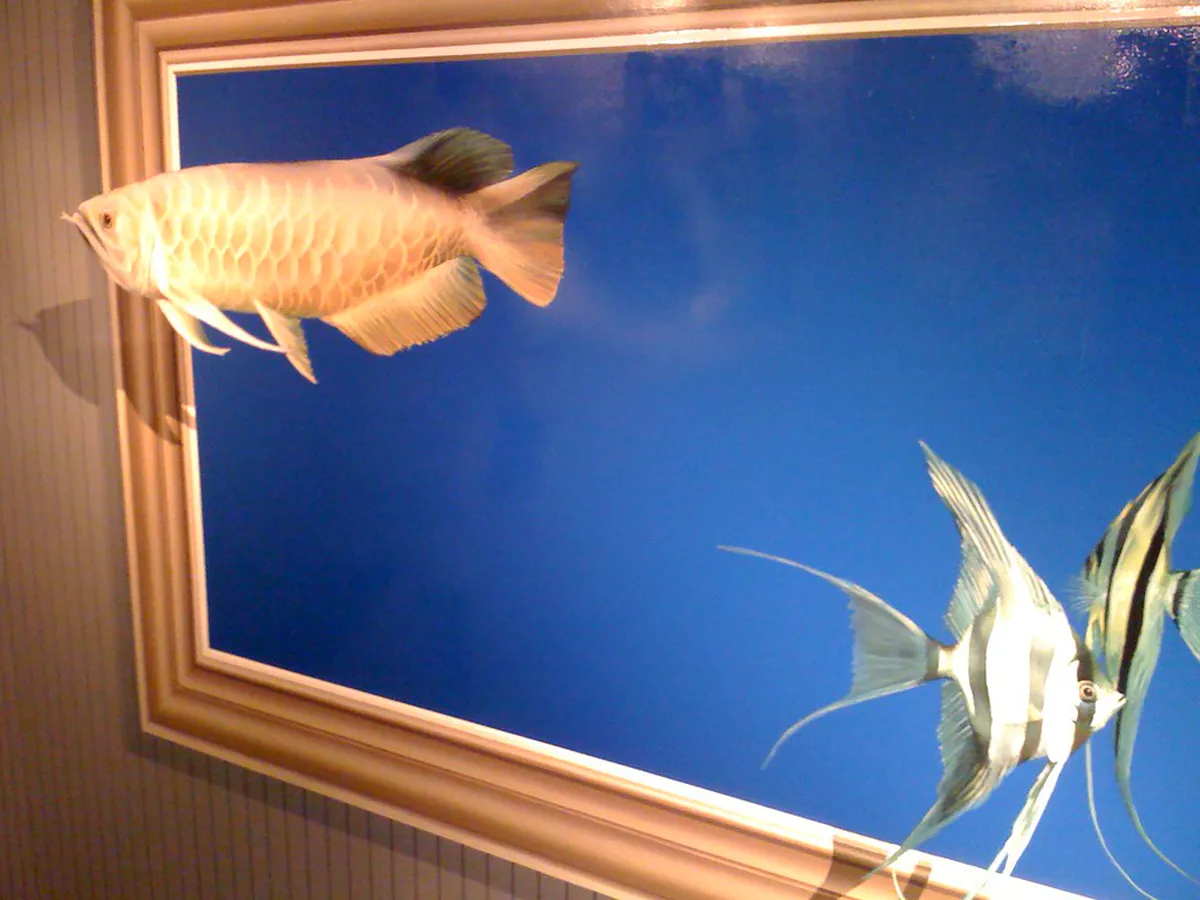 What is the Takao Trick Art Museum?