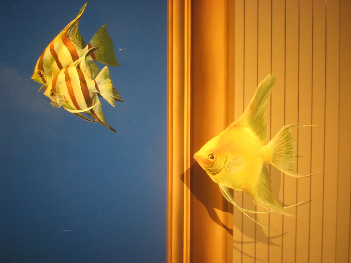 Takao Trick Art Museum