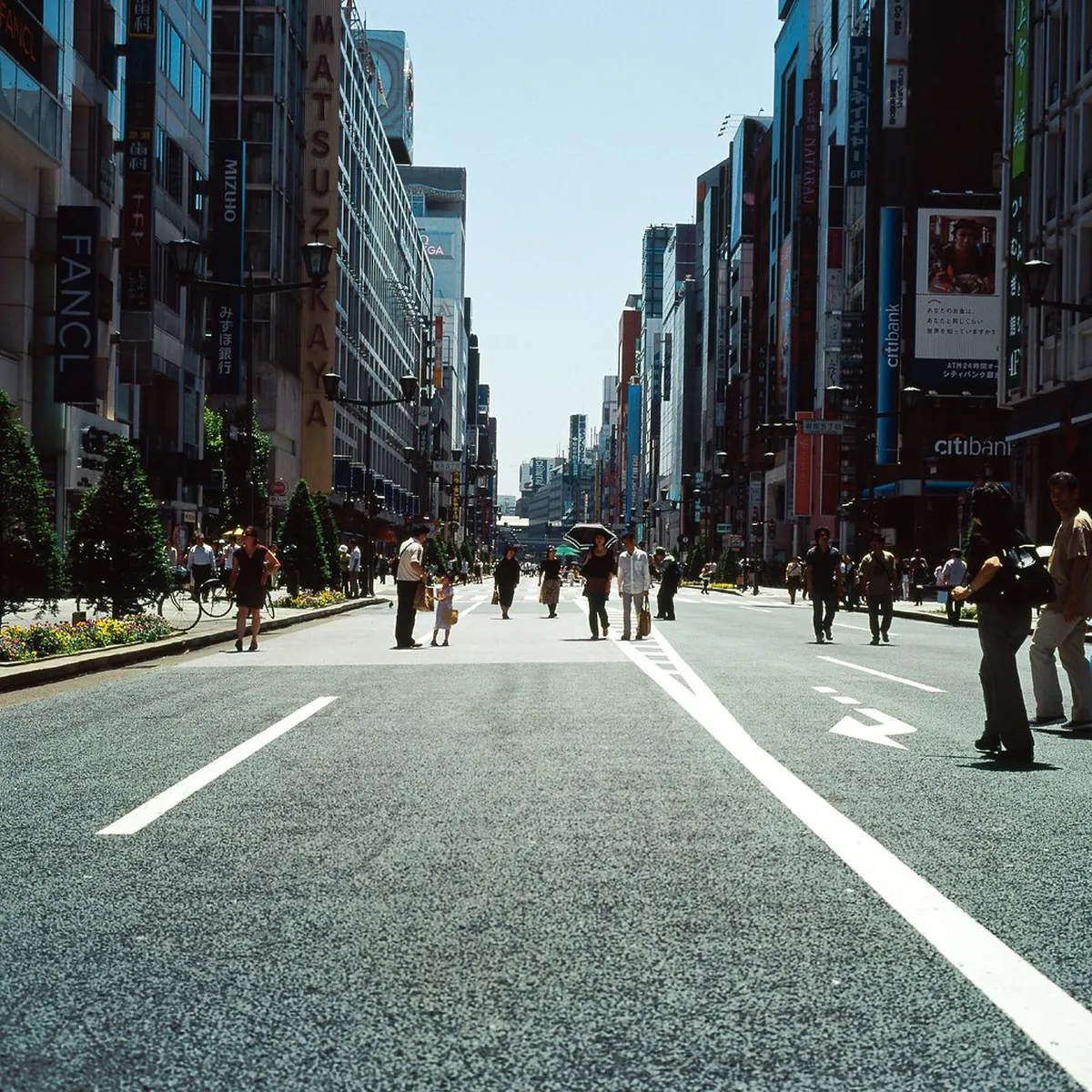 Omakase vs Street Food: Choosing Your Tsukiji Breakfast Style in Tokyo