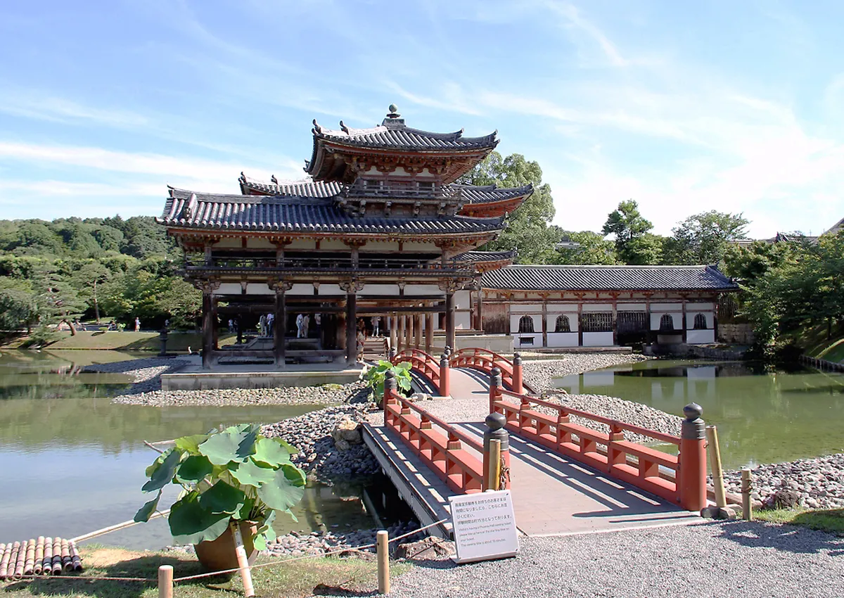 Cheap Vegan and Vegetarian Food in Uji: What to Expect