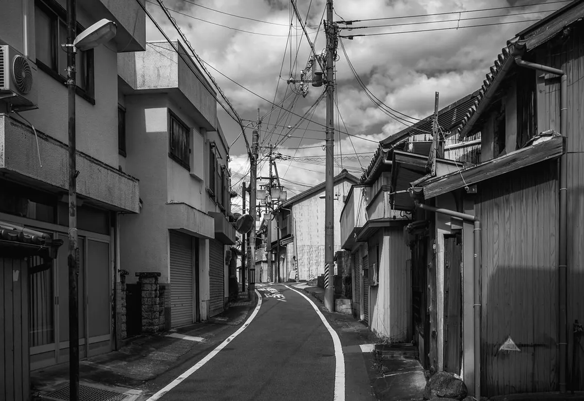 Choosing a Bottle: Base Alcohol, Sweetness, and What to Skip in Wakayama