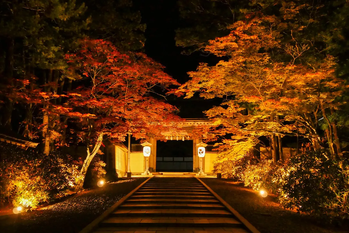 Getting Around and Timing Your Visit in Wakayama