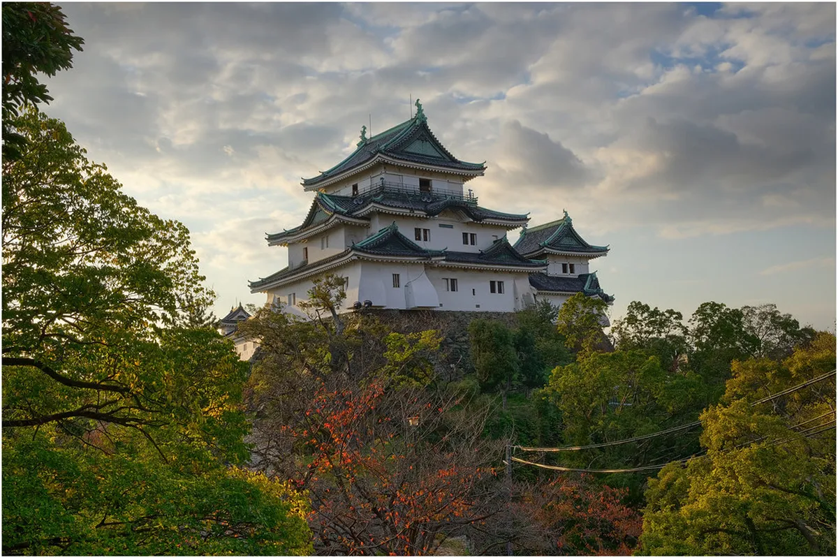 Quick Guide: Which Wakayama Seafood Experience Fits Your Trip