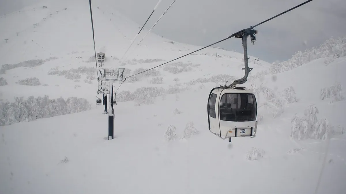 Powder snow covers the tree runs and slopes of Niseko Annupuri in Hokkaido