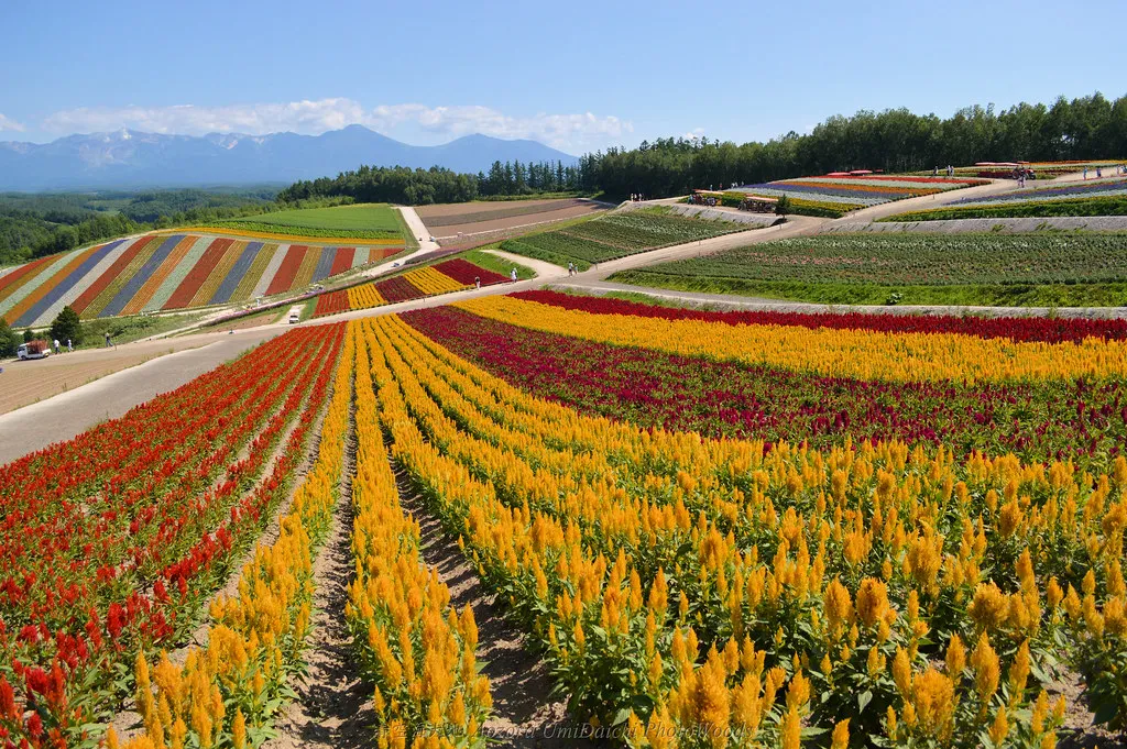Furano town Hokkaido