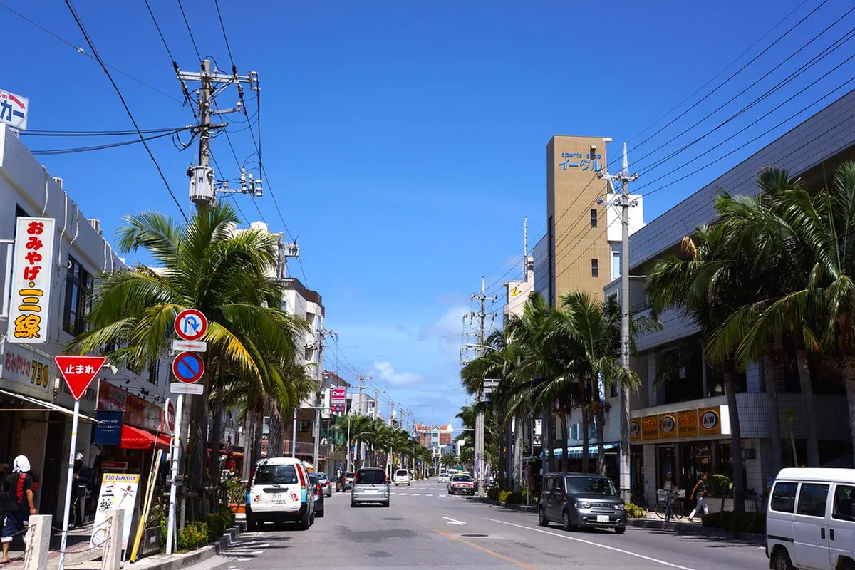 Book Ishigaki's Compressed in Ishigaki Island Okinawa