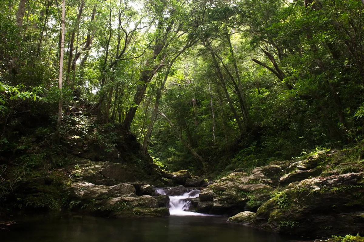 Northern Motobu Nature in Okinawa Japan