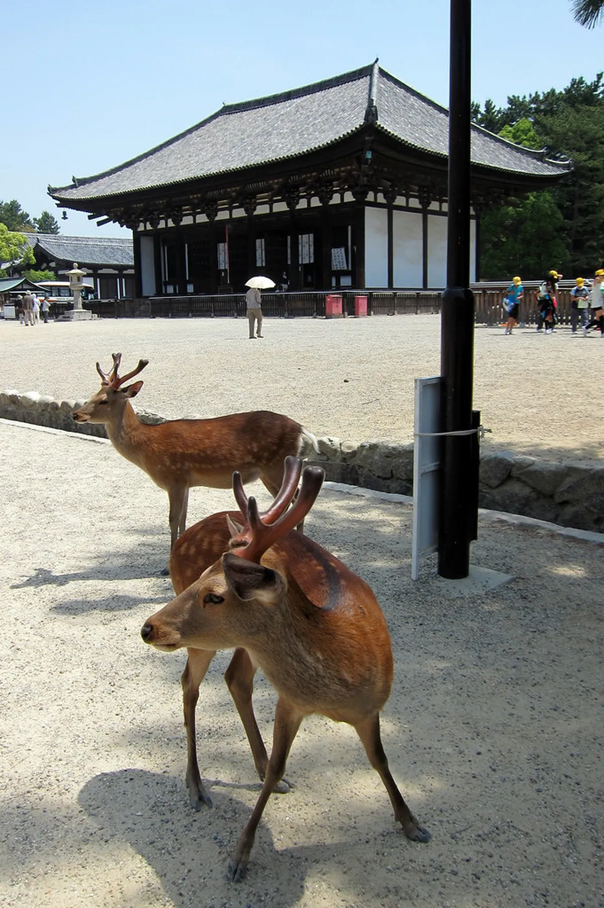 Yakushi-ji Temple