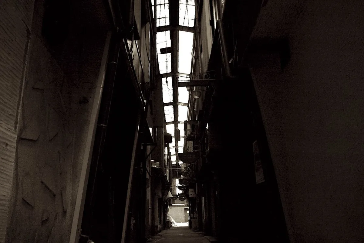 Narrow covered alley in Gifu's Yanagase entertainment district