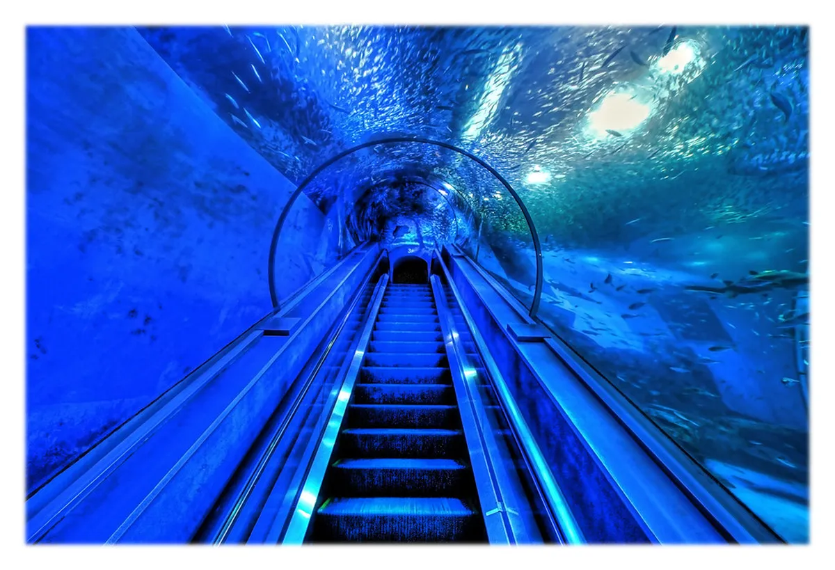 Yokohama Hakkeijima Sea Paradise island aquarium park with waterfront views and attractions in Kanazawa Ward Japan
