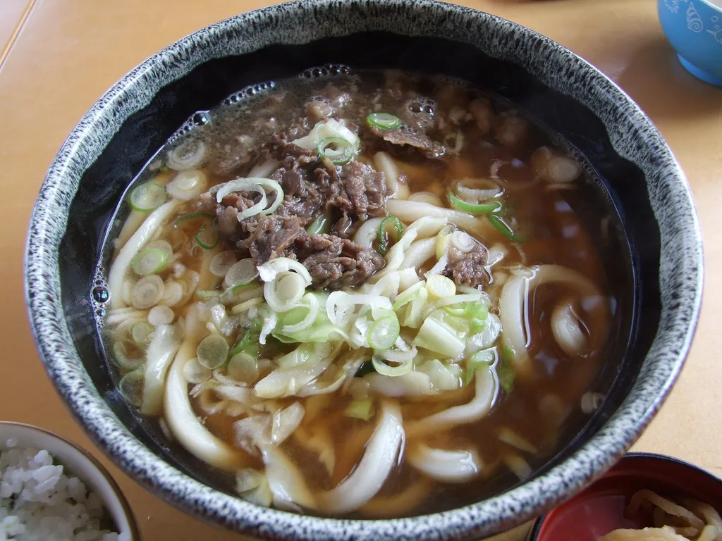Firm Yoshida udon with cabbage near Kawaguchiko, Japan — 2