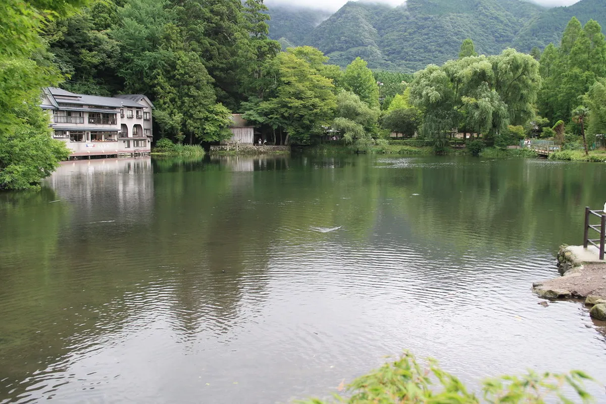 4 Best Cafes Near Lake Kinrinko Yufuin — a scene in Yufuin