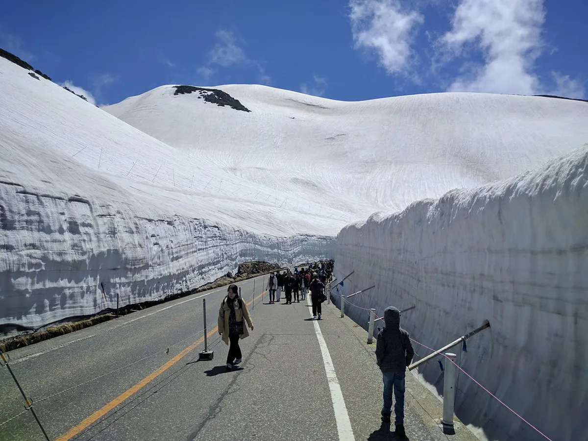 Walking the Snow Corridor at Murodo