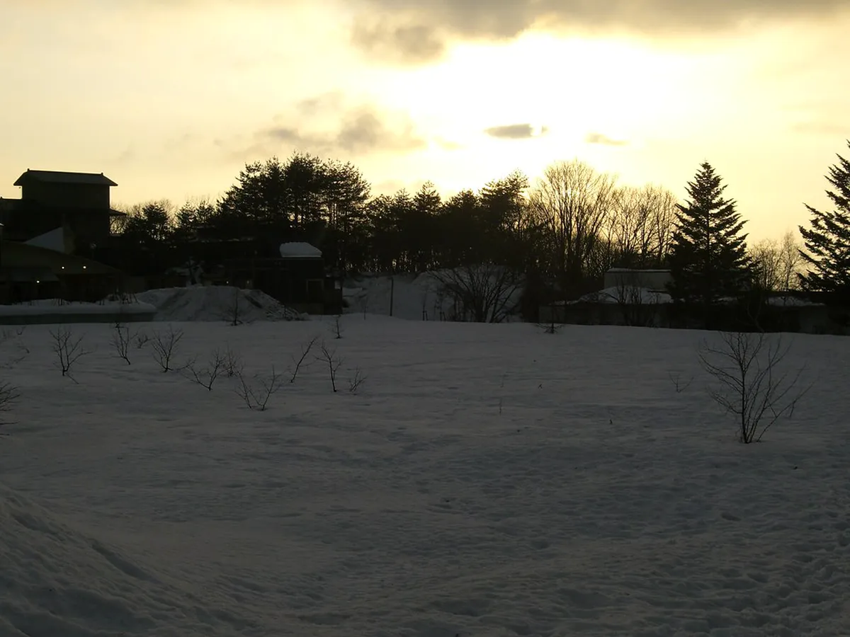 Zao Onsen Hot Springs: A Deep Dive in Zao
