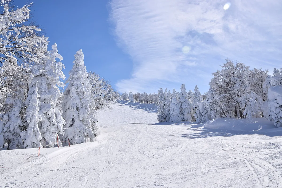 Zao onsen ski area (51843960715).jpg