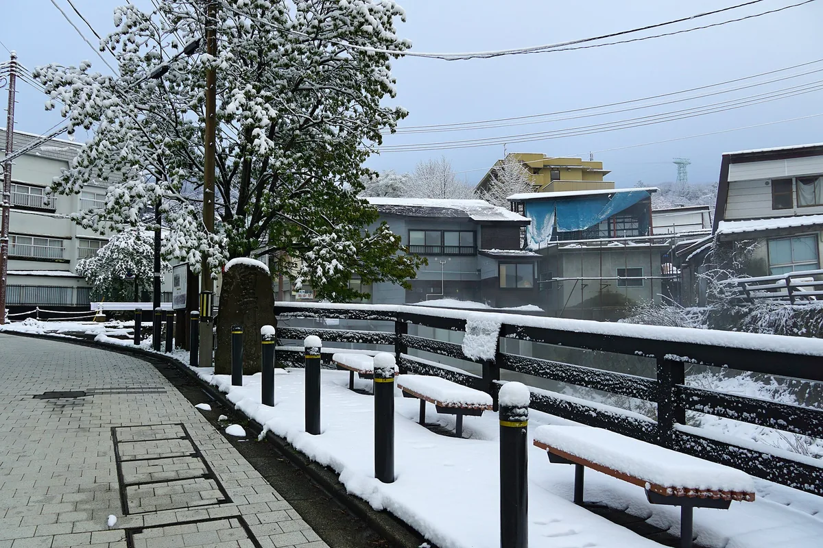 220430 ZaoOnsen Yamagata Yamagata pref Japan34s3.jpg
