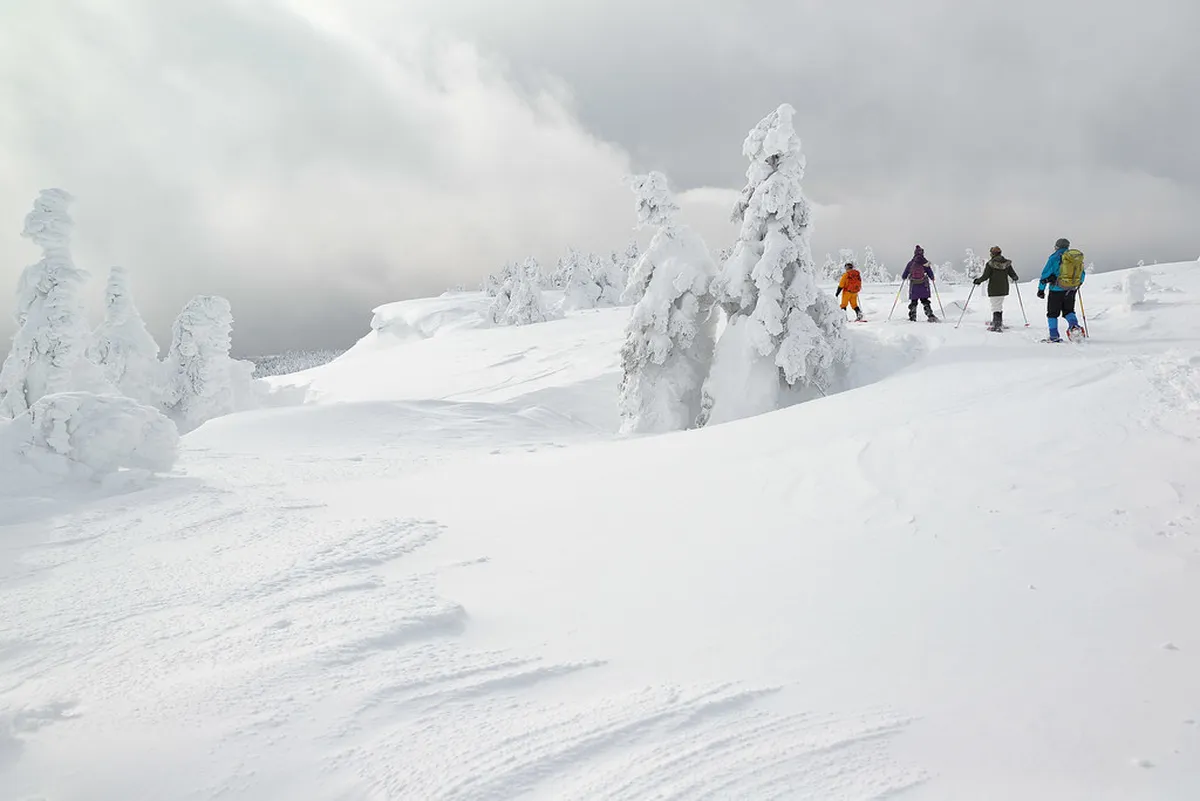 Zao Snow Monsters: Season Comparison in Zao